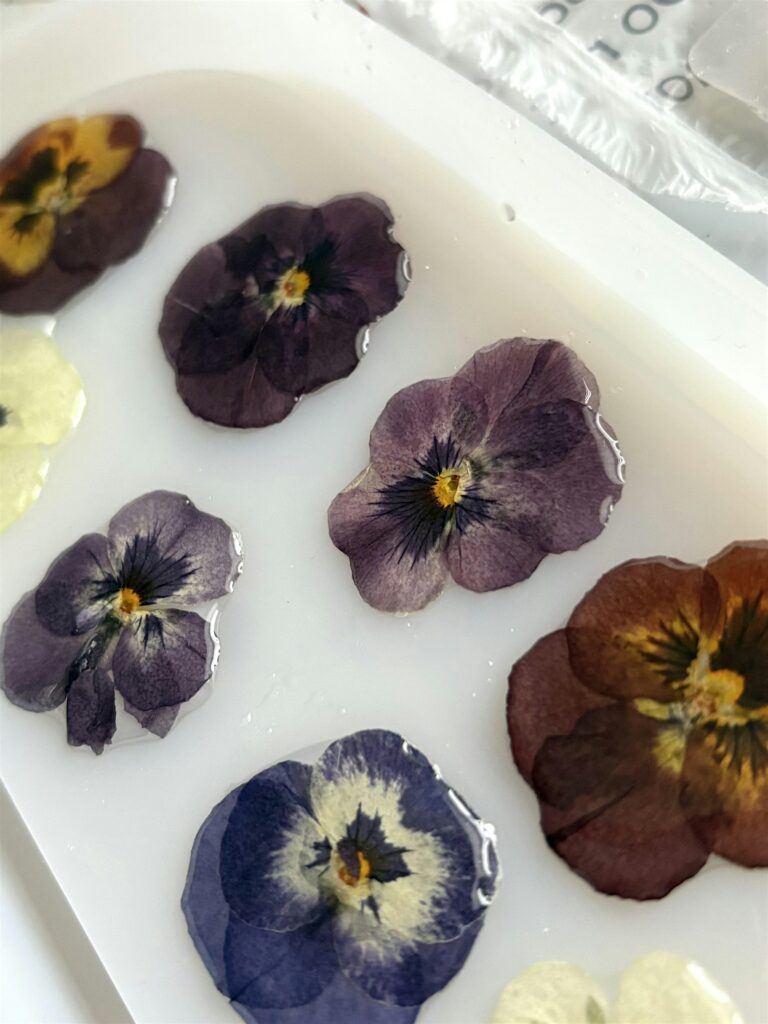 Thrive Companies, Pressed pansy flowers of various colors embedded in clear resin inside a white mold, shown close up. Apartments in Columbus Ohio