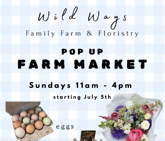 Thrive Companies, Flyer for Wild Ways Family Farm & Floristry pop-up farm market, Sundays 11am–4pm starting July 5th, featuring eggs and bouquets. Apartments in Columbus Ohio
