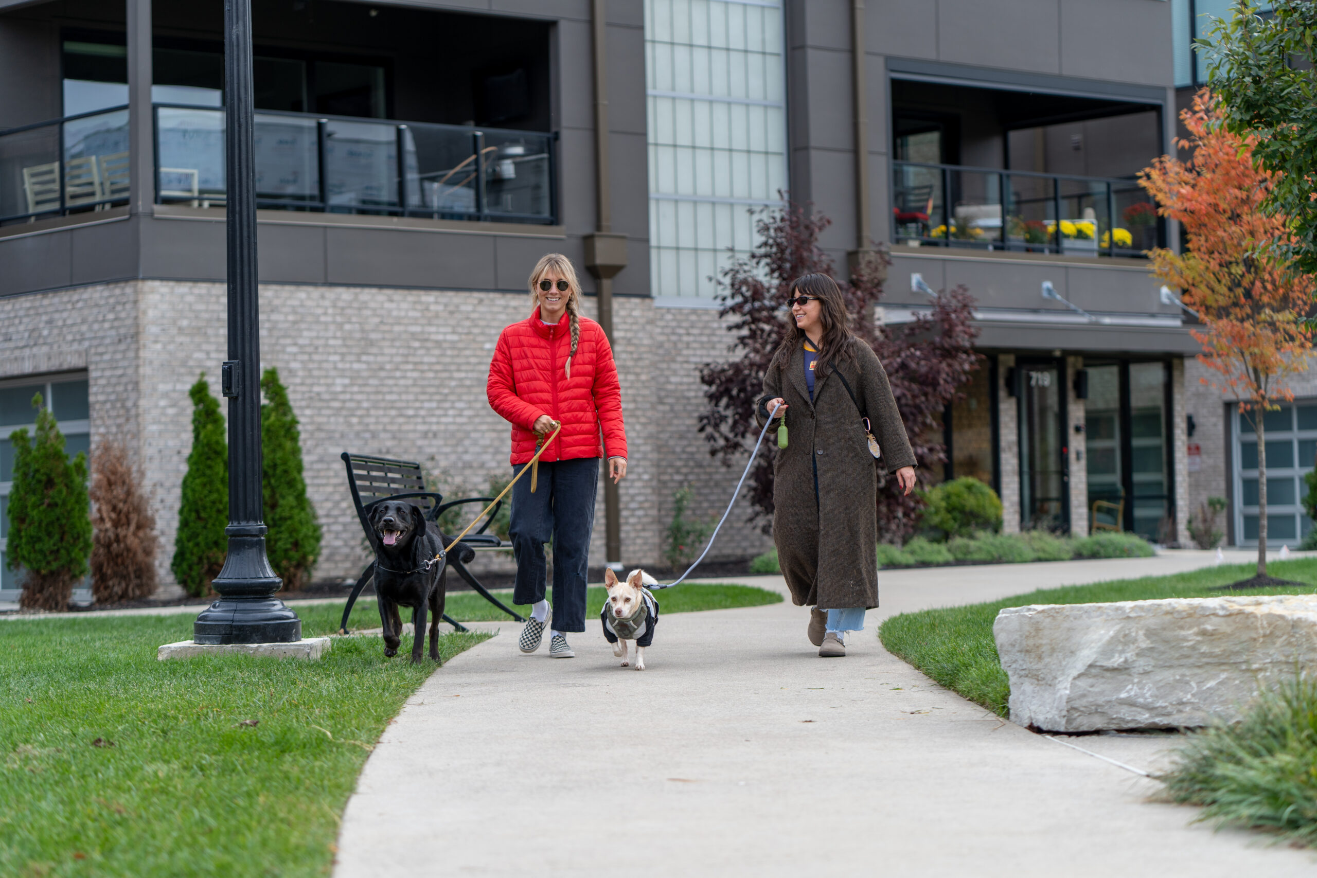 Thrive Companies, Two women walk dogs on leashes along a sidewalk in front of a modern apartment building, one wearing a red jacket and the other a long brown coat. Apartments in Columbus Ohio